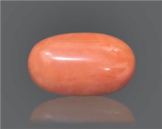 Natural Coral  14.38RTS-18605